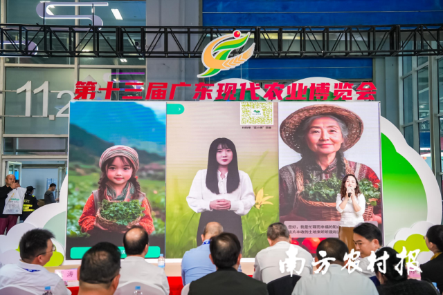 阳山旱地西洋菜AI数字人“菜小西”正式发布
