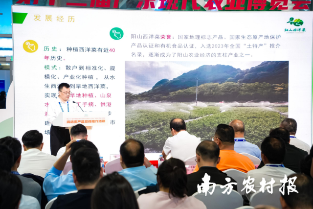 阳山县人民政府副县长蓝涛上台发布“菜小西”数字人