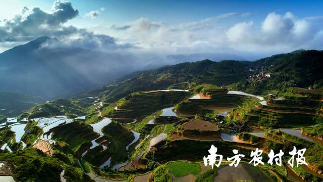 云山珠水善歌不辍 凝聚爱心振兴乡村