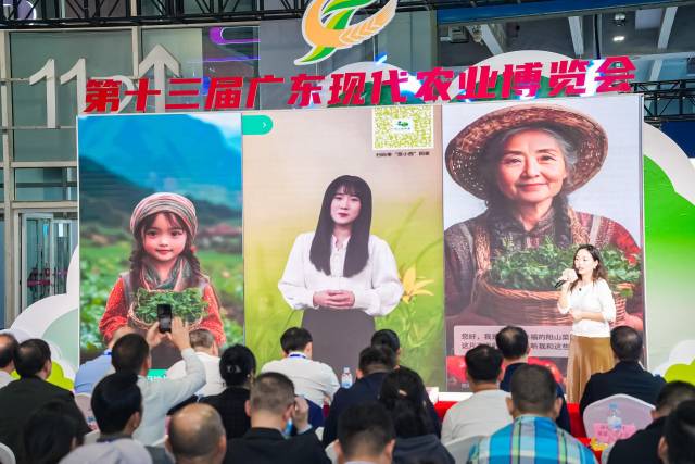 “菜小西”ai数字人三种形象公开。首个I数 “菜小西”ai数字人三种形象公开。清远<strong></strong>