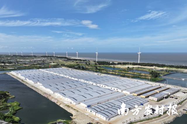 基金会携手海大集团完善东里镇基础设施，助推当地养殖产业发展。