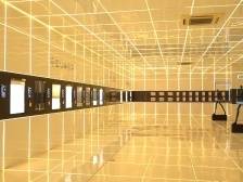 汉狮光动：国内中空百叶的“领头羊”｜寻找佛山高新区硬科技⑤