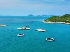 视频 | 潮起海天阔 扬帆正当时