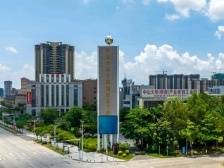 获全省推广！阳江1项工作入编“百千万工程”典型案例