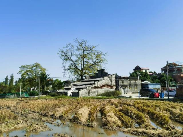 开平市赤坎镇现龙村旅游厕所建筑工程。