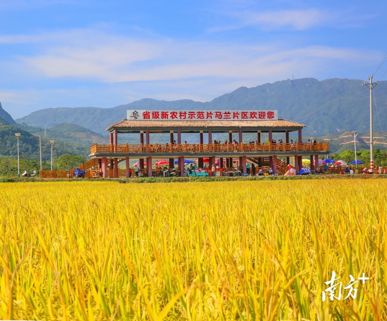 阳春市马兰风光片区。