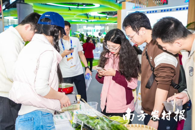 清遠(yuǎn)連州菜心展位吸引眾多食客駐足品嘗、了解,。