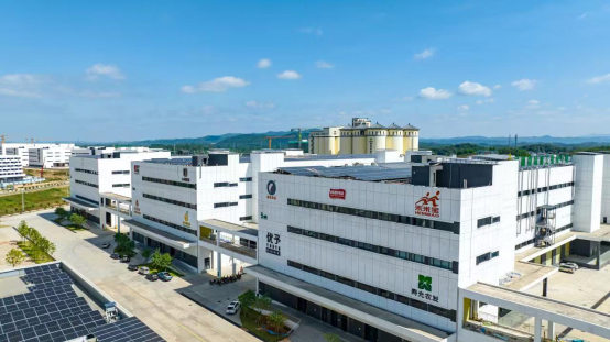 大湾区基地注册入园企业84家，已投产运营42家，进驻企业队伍还在不断壮大。  受访者供图