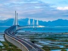 短短4年建成跨海通道，“黄茅海速度”靠什么？｜聚焦珠西新通道