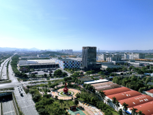 深读｜大抓产业发展的“高明战法”