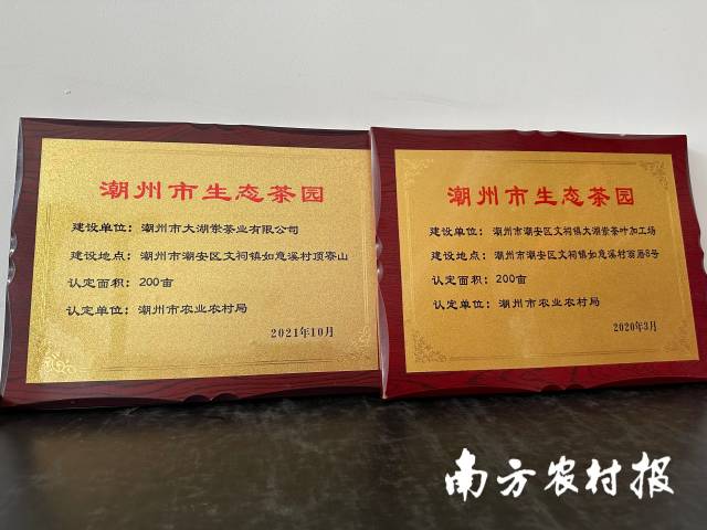 潮州市大湖岽茶业有限公司拥有潮州市农业农村局认证的潮州市生态茶园400亩。