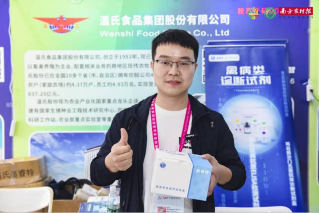 非洲猪病检测试纸