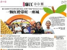 一颗红橙带旺一座城丨速览《南方日报·廉江视窗》176期