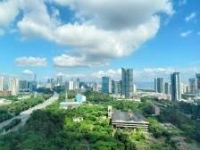 光明科学城论坛·2024即将启幕！