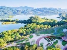 揭秘！罗湖文旅火热的密码在这