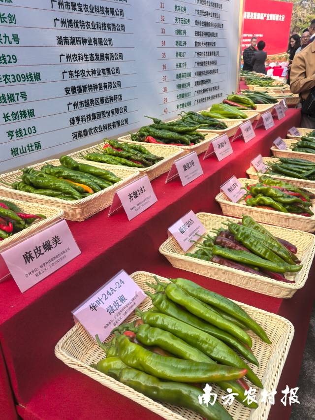 南方农村报 王俊涛1 拍摄