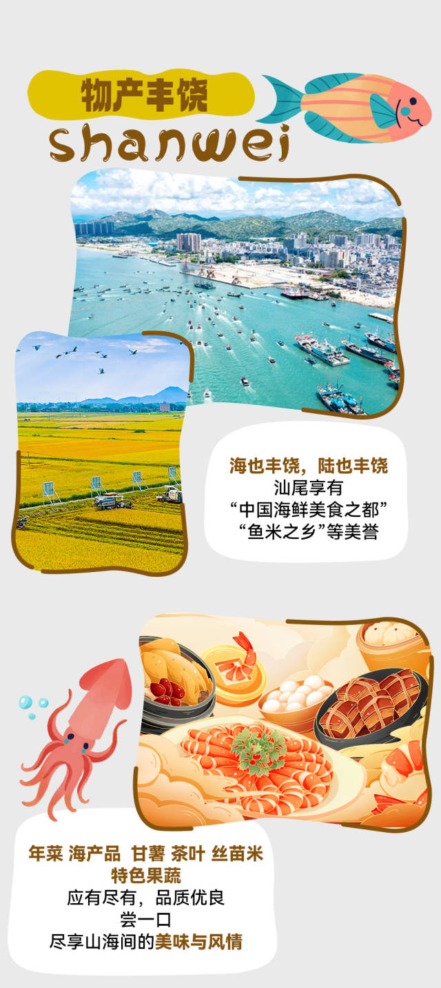 春节期间网络支付交易持续增长