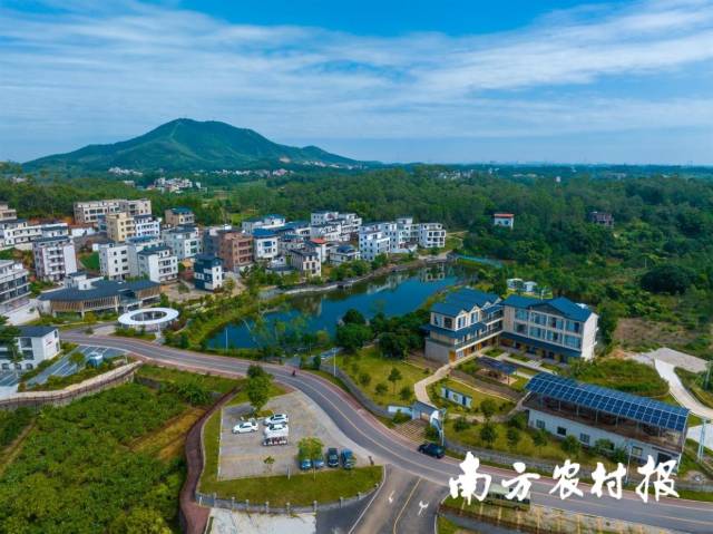 《新塘村风貌》茂名市化州市新安镇新塘村 拍摄：袁月。