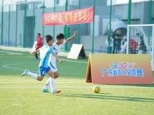 点赞！横琴斩获多个奖项