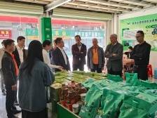 从天河到怀集，有一群乐于奔“县”的“城里人”