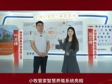 小牧管家智慧养殖系统是如何实现一个人养近1000头猪