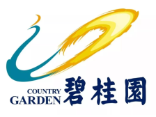 碧桂园披露首个境外重组方案，目标减债116亿美元！债权人评价：方案较务实