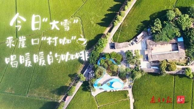 视频丨大雪时节来一杯崖口村咖，一键拉满冬月里的松驰感