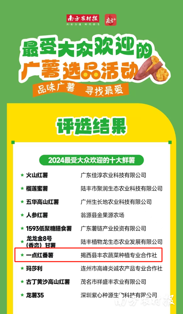 揭阳“薯”你最棒！揭西一点红番薯荣登最受欢迎十大广薯榜单