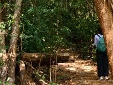 罗湖郊野径上新！进入现实版“绿野仙踪”