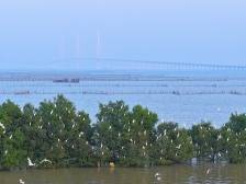 台山赤溪：“桥”见大湾区，逐梦大时代｜超级工程 跨越向新