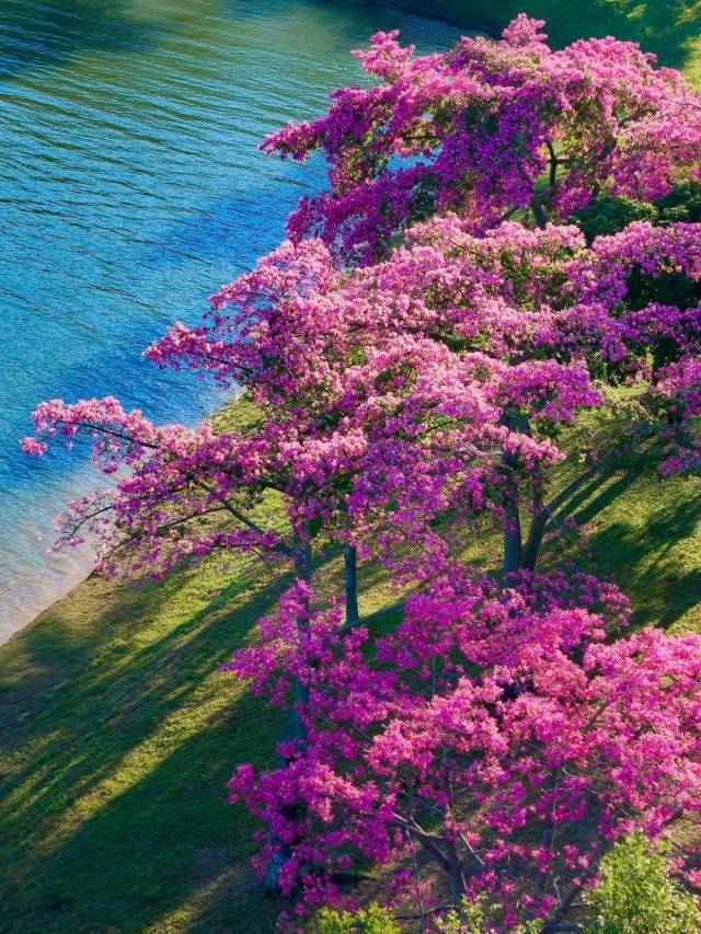 （图源：@小鱼儿/小红书）