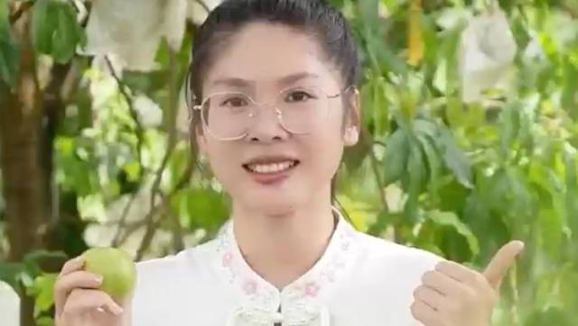 视频｜果肉绵软，入口丝滑，快来南沙榄核品尝冰淇淋果