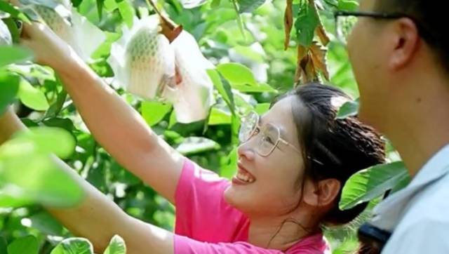 视频｜号称水果届的“脂肪杀手”就在榄核，快来试试！