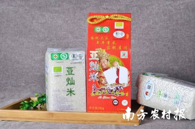 云浮罗定市首届十大名特优农产品评选结果出炉