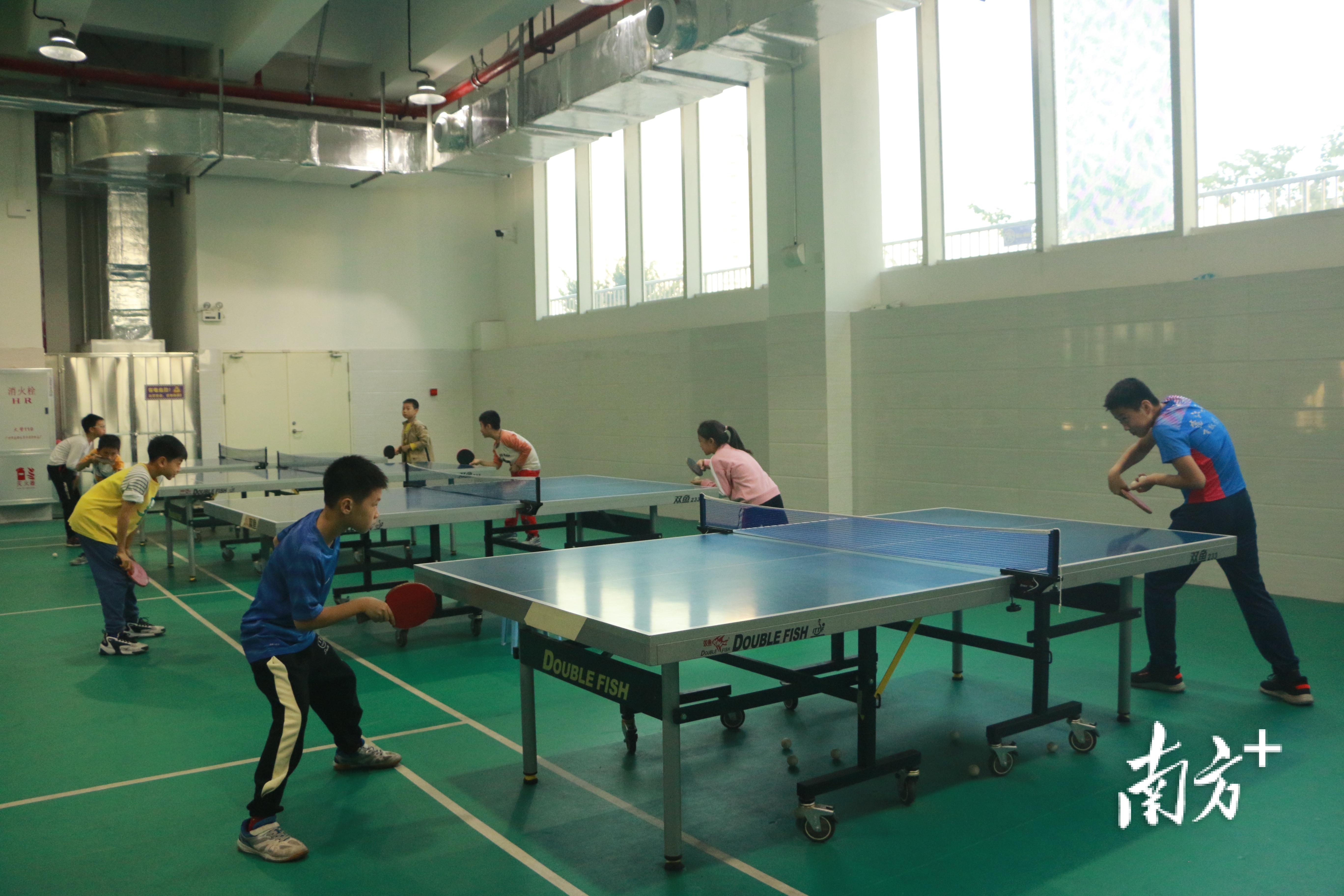 《方案》要求，重点开展三大球类、田径、中华武术、游泳等专项运动教育教学。  南方+ 黄烨倩 摄