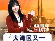 大湾区又一跨海通道通了｜杨阿洋快评