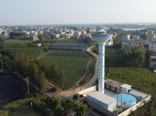 湛江三年帮扶：广湛携手产业兴旺，乡村发展焕然一新