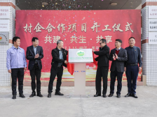 三年聚力绘新篇！阳江驻镇帮镇扶村交出亮眼答卷