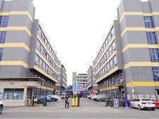 “惠阳制造”亮相世界级舞台，好货卖向全球