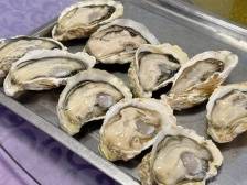 我在江门台山黄茅海“蚝”想你