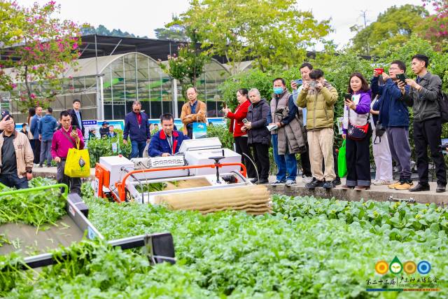 广东省今世农业装备钻研院叶菜收获机