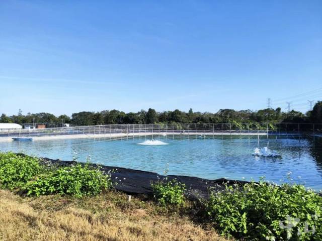 容海三角基地在产业园租下连片上千亩土地。