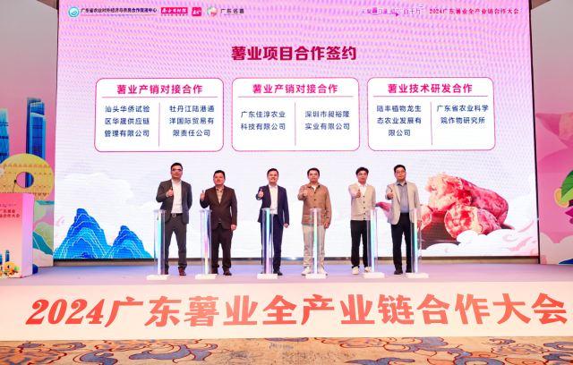 多家薯業(yè)產(chǎn)業(yè)鏈企業(yè)達成簽約。