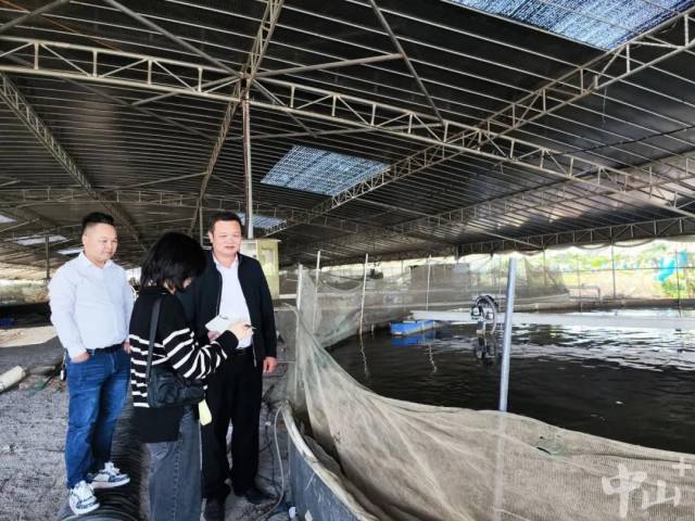 最近半年，基地20个鱼池都装上了吸污泵和智慧渔业系统。