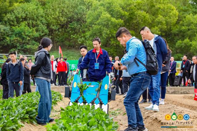 广东省现代农业装备研究院菠菜收获机