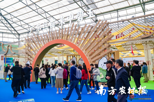 广东丝苗米主题展。  