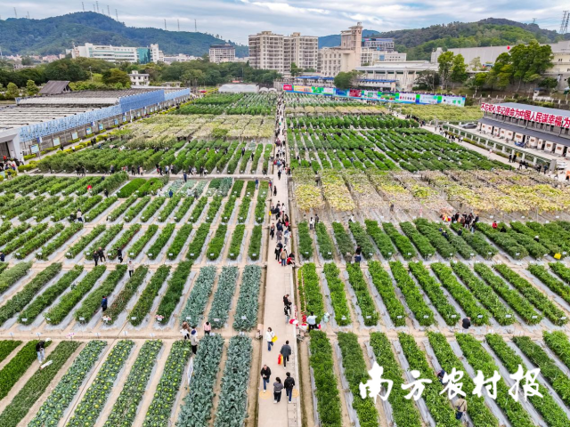 良种良法展，现场看品种的人络绎不绝。