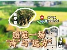 小城出圈魅力大，来开平一起“奔县”吧｜江门市“邑美”乡村民宿设计大赛②
