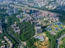 发挥全产业链优势，东莞松山湖助力数字贸易产业腾飞