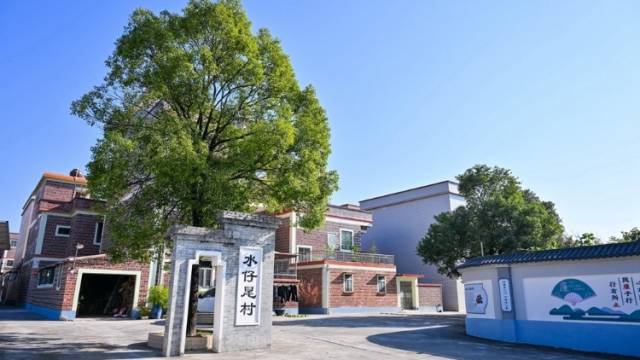 “燕尾龙舟”稳正拼搏——走读清远清新胜利村